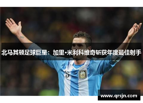 北马其顿足球巨星：加里·米利科维奇斩获年度最佳射手